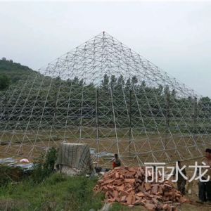 湖北京山1600金字塔