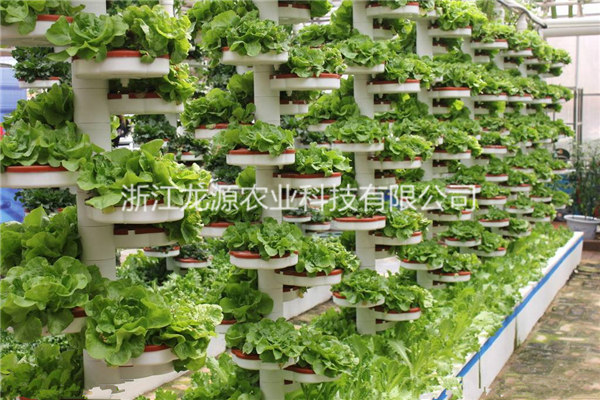无土栽培